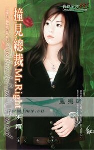 《撞见总裁Mr.Right (撞见爱情之一)》