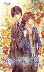 BOSS禁制手段（出书版）