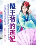 《傻王爷的逃妃》