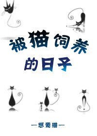 被猫饲养的日子