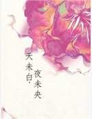 《天未白,夜未央》
