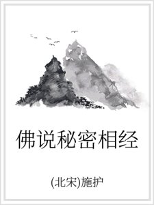 《佛说秘密相经》
