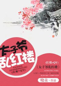 （红楼同人）太子爷乱红楼