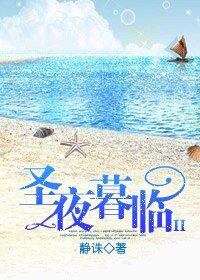 圣夜暮临Ⅱ