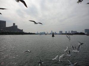 (霹雳同人)当时明月