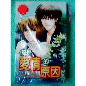 《你是我爱情的原因(出书版)》
