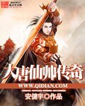 《大唐仙帅传奇》