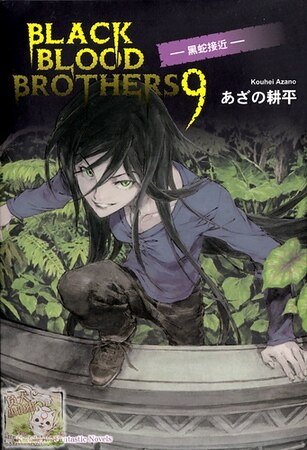 BLACK BLOOD BROTHERS 黑蛇接近（黑血兄弟之九）