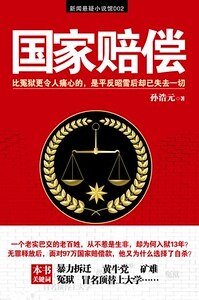 国家赔偿（出书版）