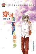 穿过风花雪月的年少（出书版）