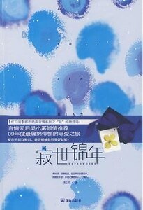 《寂世锦年(出书版)》