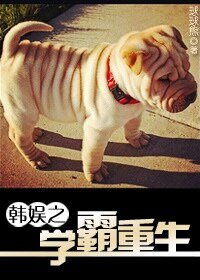 （韩娱同人）韩娱之学霸重生