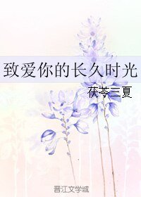 《致爱你的长久时光》