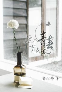 《这个青春有点乱/左岸》