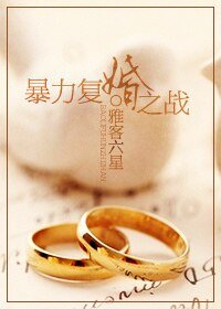 《暴力复婚之战》
