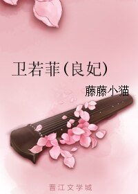 卫若菲（良妃）