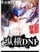 《纵横DNF》