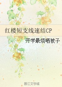 （红楼同人）红楼短支线速结CP