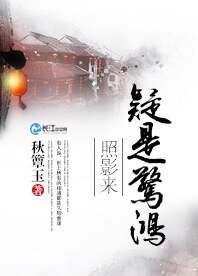 《疑是惊鸿照影来》