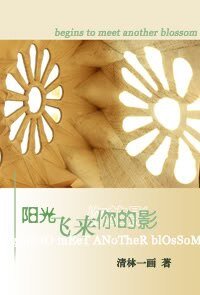 阳光飞来你的影/一路的光影
