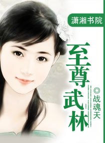 《至尊武林》