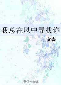 我总在风中寻找你
