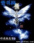 预言帝