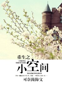 重生之小空间