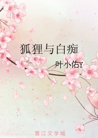 《狐狸与白痴》