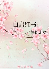 白启红书