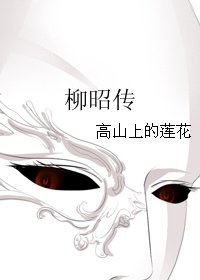 柳昭传
