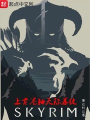 《上古卷轴天际暴徒》