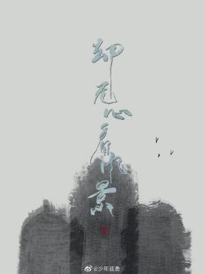 《却无心看风景》