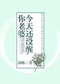 你老婆今天还没醒