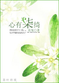 《心有柒绮》