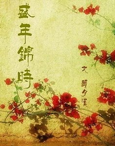 盛年锦时