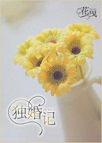 独婚记