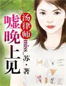 汤律师，嘘，晚上见