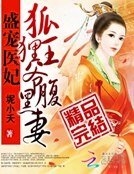 盛宠医妃：狐狸王爷腹黑妻