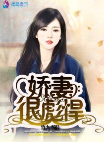 娇妻很彪悍