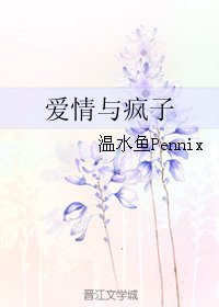 爱情与疯子