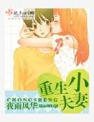 重生小夫妻