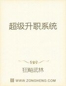 超级升职系统