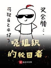《晓组织的轮回者》