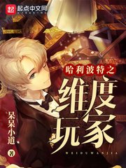 《哈利波特之维度玩家》