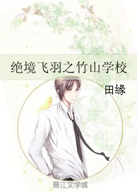 绝境飞羽之竹山学校