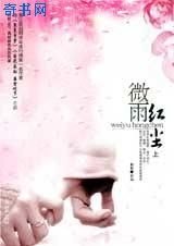 《微雨红尘》