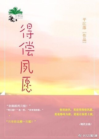 得偿夙愿