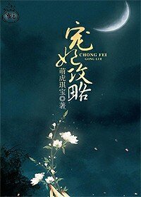 宠妃攻略