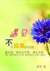 遇见，不在最美的时候